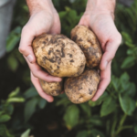 Jollibee Group Strengthens Responsible Sourcing Commitment through its Global Supplier