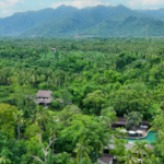 Megaworld partners with award-winning ‘The Farm at San Benito’ to build P12-B ‘Active Wellness Township’ in Batangas