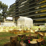 SMC expands urban farming initiative