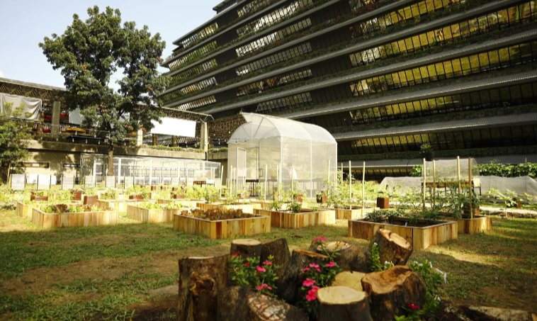 SMC expands urban farming initiative