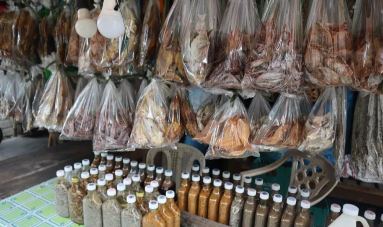 Oceana lauds Northern Samar provincial gov’t for adopting science-based fisheries management
