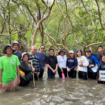 Sun Life Foundation enhances mangrove conservation in Samar and Biliran