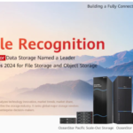 Dual Leadership Recognition Huawei Named a Leader in Coldago Research Maps 2024 for File Storage and Object Storage